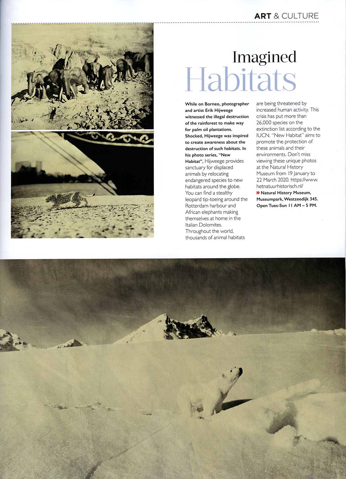 Inside Rotterdam Magazine